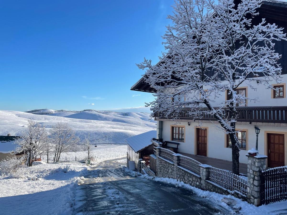 Guest House Vila Djokic Zlatibor Exterior foto